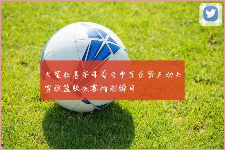 火蜜狂喜字母哥与申京亲密互动共赏欧篮联决赛精彩瞬间