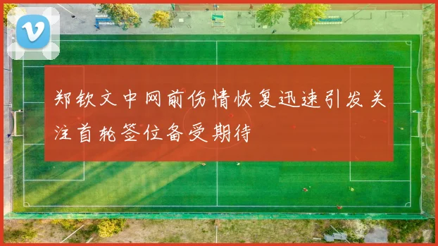 郑钦文中网前伤情恢复迅速引发关注首轮签位备受期待