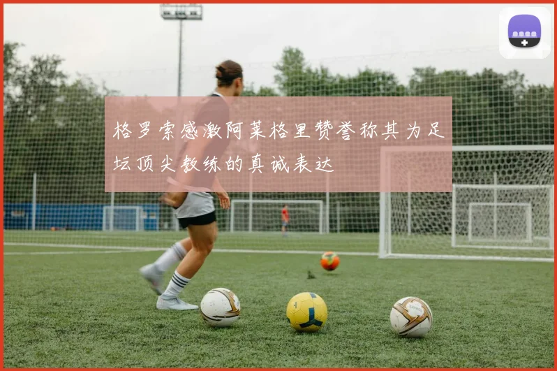 格罗索感激阿莱格里赞誉称其为足坛顶尖教练的真诚表达