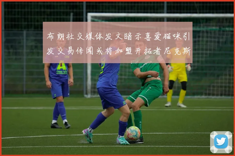 布朗社交媒体发文暗示喜爱猫咪引发交易传闻或将加盟开拓者尼克斯雷霆湖人